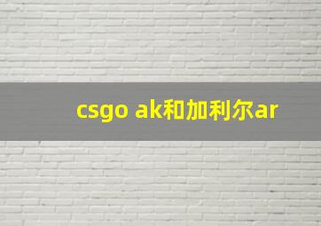 csgo ak和加利尔ar